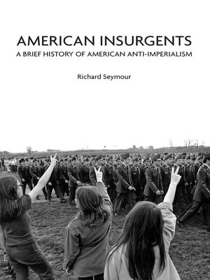 cover image of American Insurgents